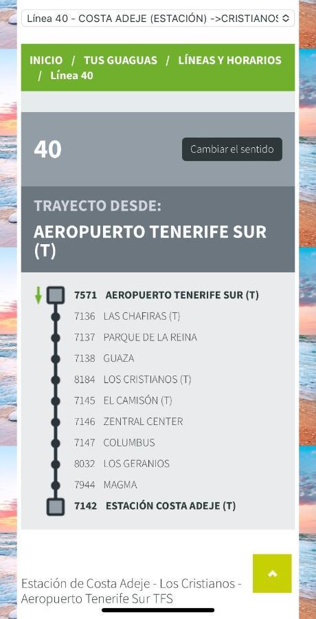 Loft Playa Torviscas,Garaje Gratis , Recien Reformado Адехе Экстерьер фото